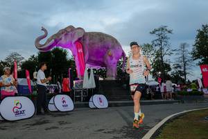 BIB: 
                            <button type="button" onclick="openModal(26529488)" class="btn btn-primary btn-sm float-right btn-popup" data-toggle="modal" data-target=".modal-high-quality">
                        <i class="fas fa-shopping-cart"></i> Add to Cart
                    </button>
                                            <button type="button" onclick="isThisMe(26529488, true)" class="btn btn-success btn-sm float-right btn-popup btn-isme hidden" data-toggle="tooltip" data-placement="bottom" title="นี่คือรูปของคุณใช่ไหม คลิกที่นี่เพื่อเอาเข้าอัลบั้ม">
                        <i class="fas fa-plus"></i> Add to album
                    </button>
                    <button type="button" onclick="isThisMe(26529488, false)" class="btn btn-warning btn-sm float-right btn-popup btn-isnotme hidden">
                        <i class="fas fa-ban"></i> Remove from album
                    </button>